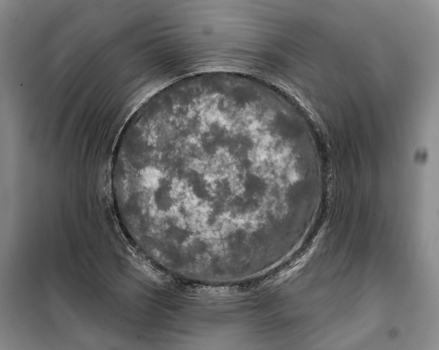 X0000099451121200805301506