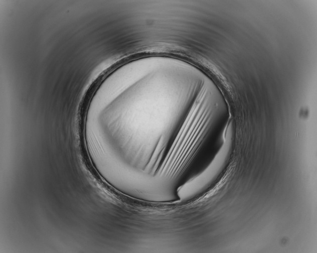 X0000099451122200805301506