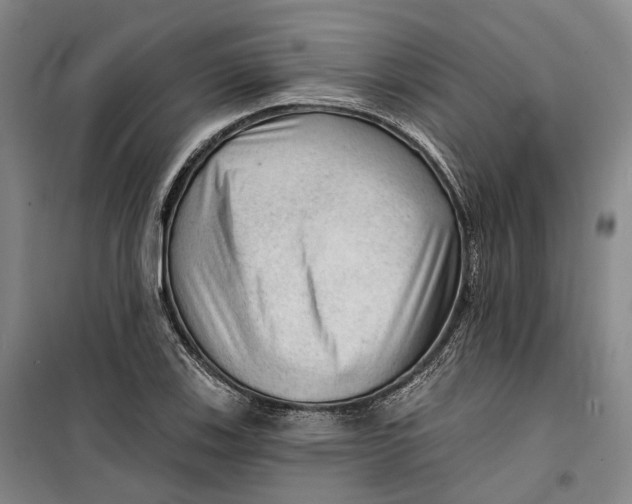 X0000099451123200805301506