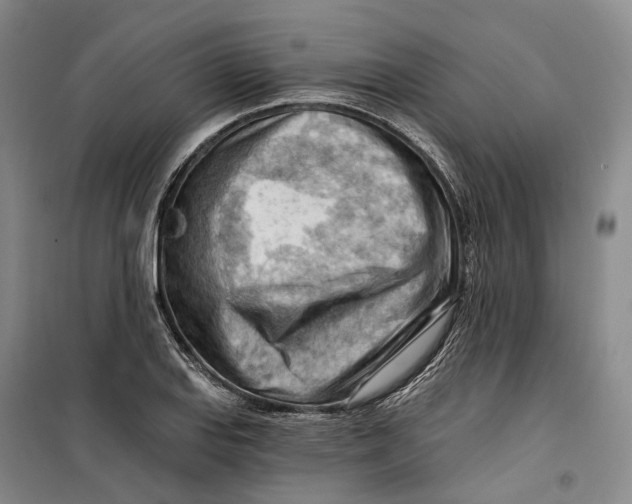 X0000099451127200805301506