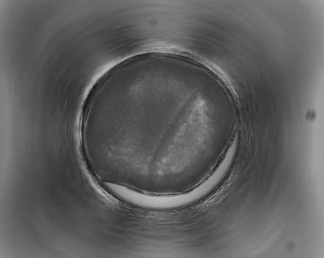 X0000099451128200805301506