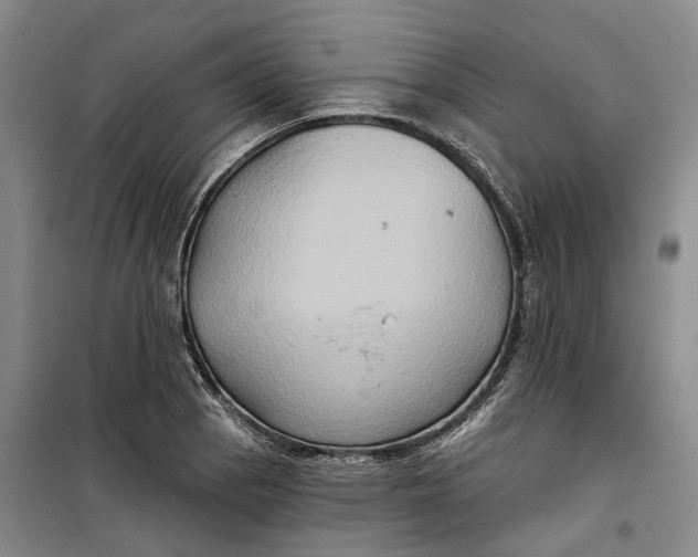 X0000099451129200805301506