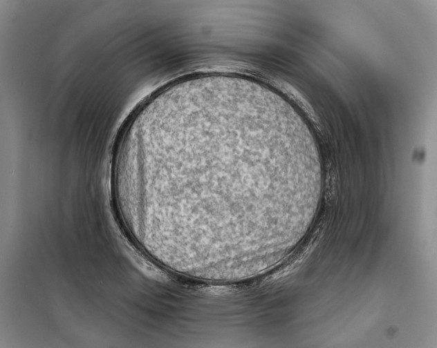 X0000099451130200805301506