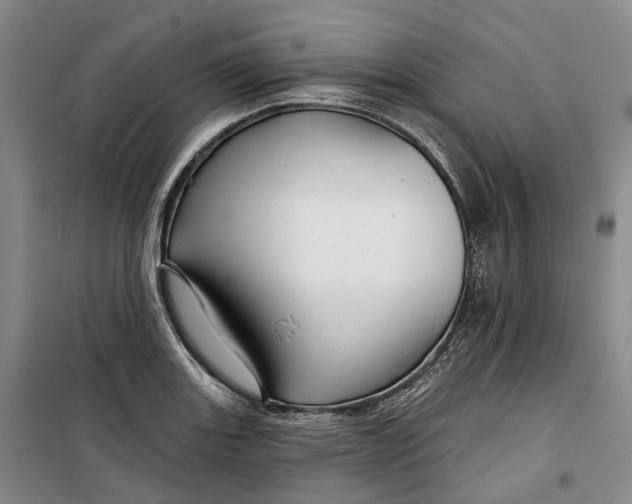 X0000099451131200805301506