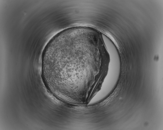 X0000099451132200805301506