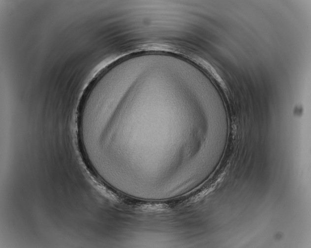 X0000099451133200805301506