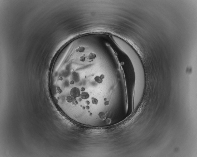 X0000099451134200805301506