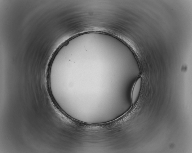 X0000099451135200805301506