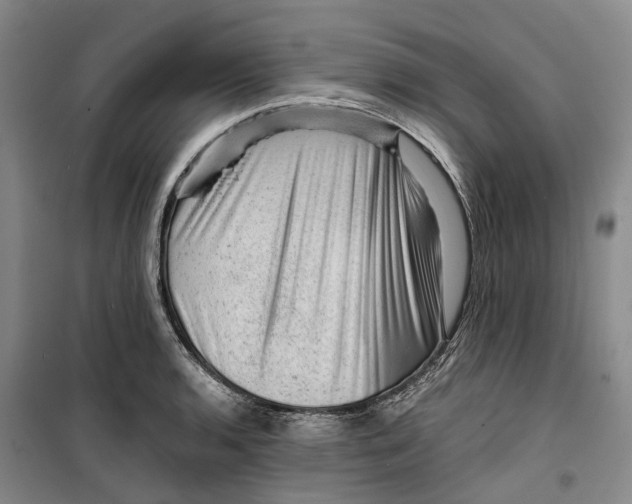 X0000099451136200805301506