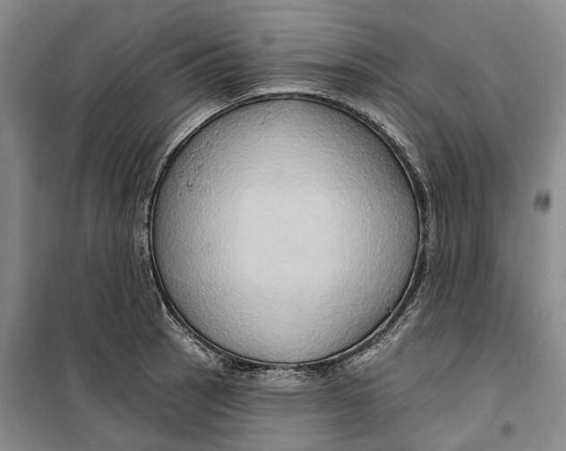 X0000099451137200805301506