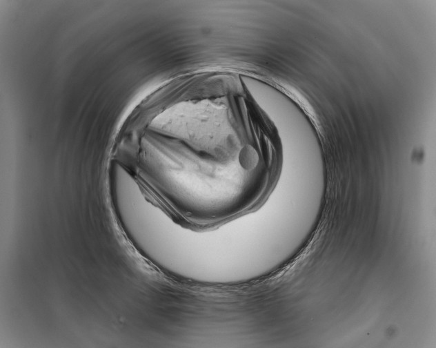 X0000099451138200805301506