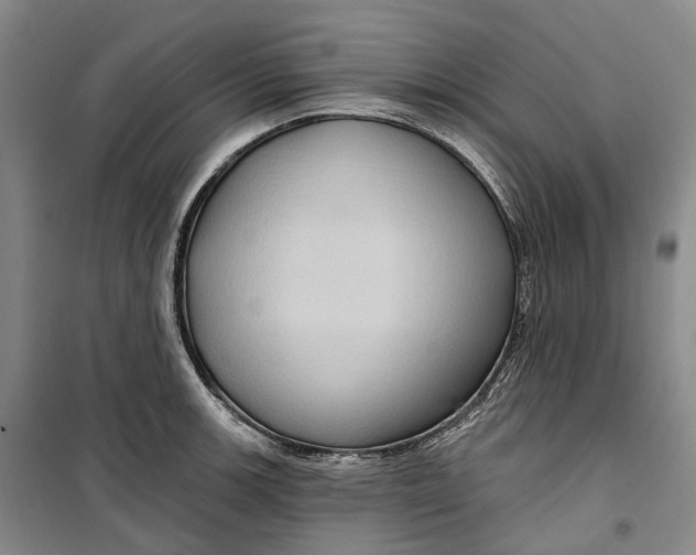 X0000099451139200805301506