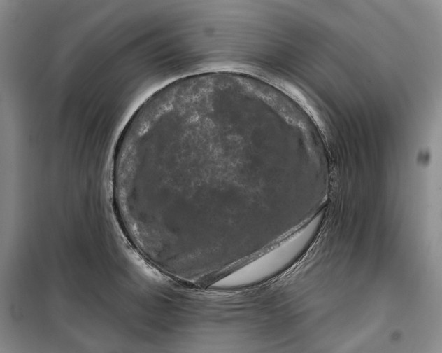 X0000099451140200805301507