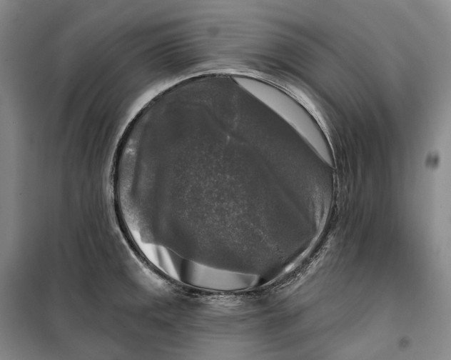 X0000099451141200805301507