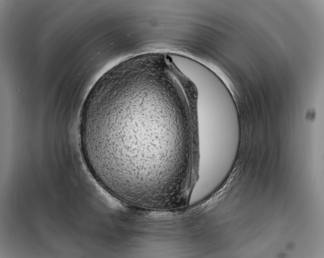 X0000099451142200805301507