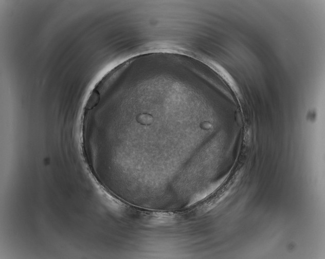 X0000099451144200805301507