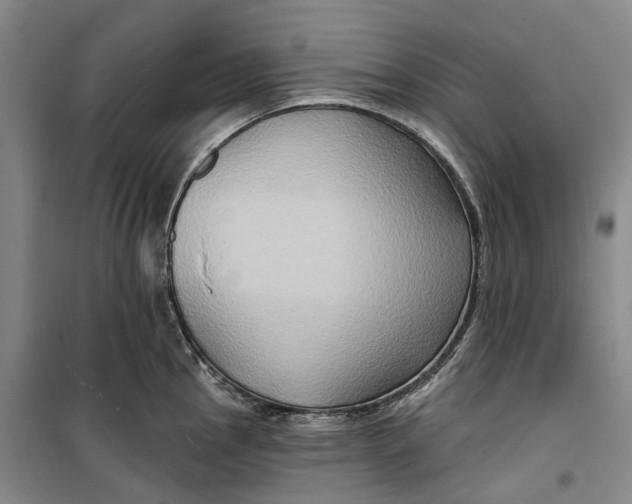 X0000099451145200805301507