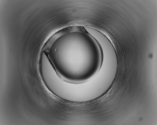 X0000099451147200805301507