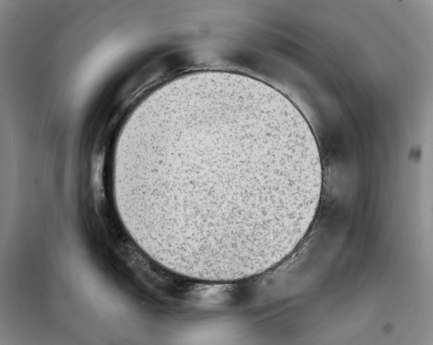 X0000099451150200805301507