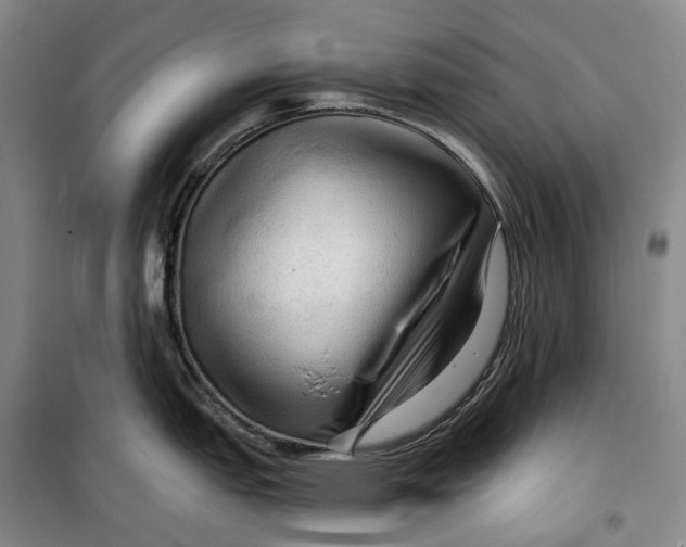 X0000099451151200805301507