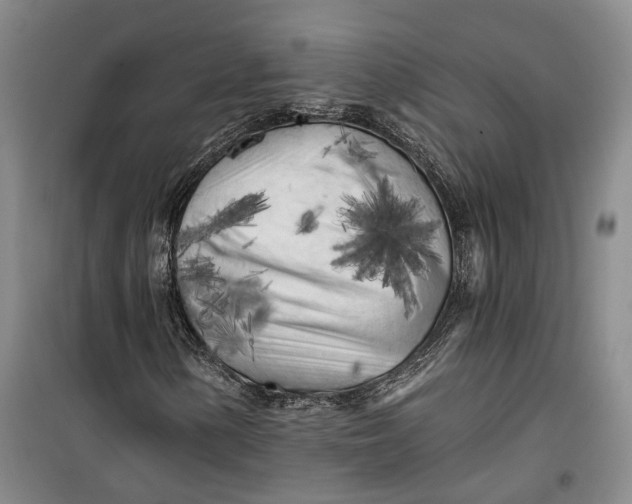 X0000099451154200805301506