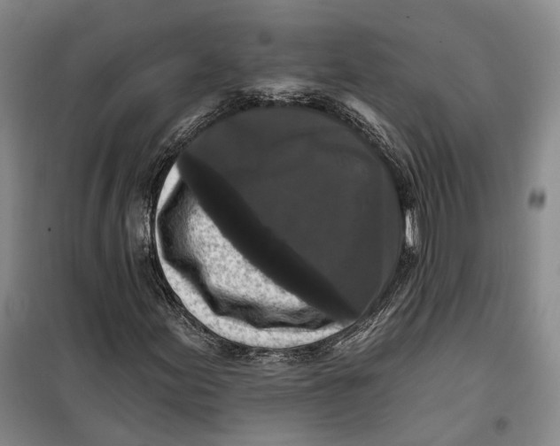 X0000099451155200805301506