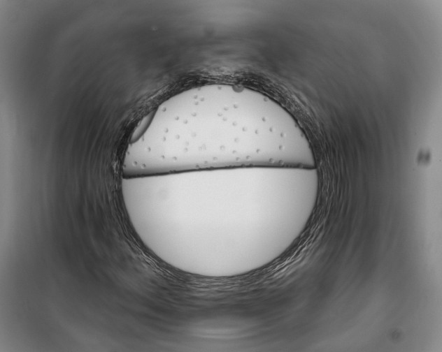 X0000099451156200805301506