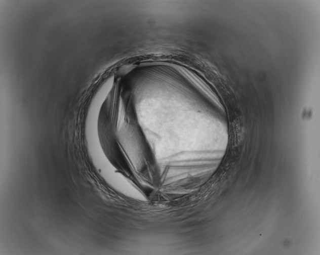 X0000099451158200805301506