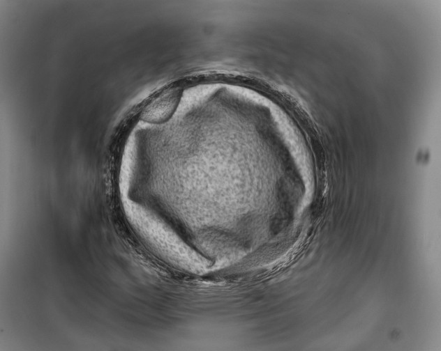 X0000099451159200805301506