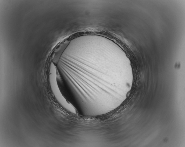 X0000099451160200805301506