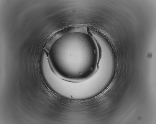 X0000099451161200805301506