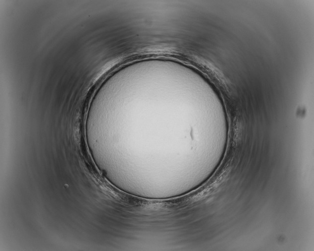 X0000099451162200805301506