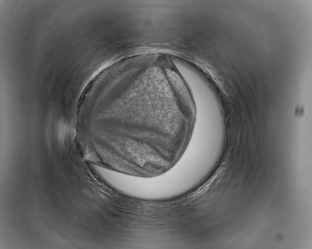 X0000099451165200805301506