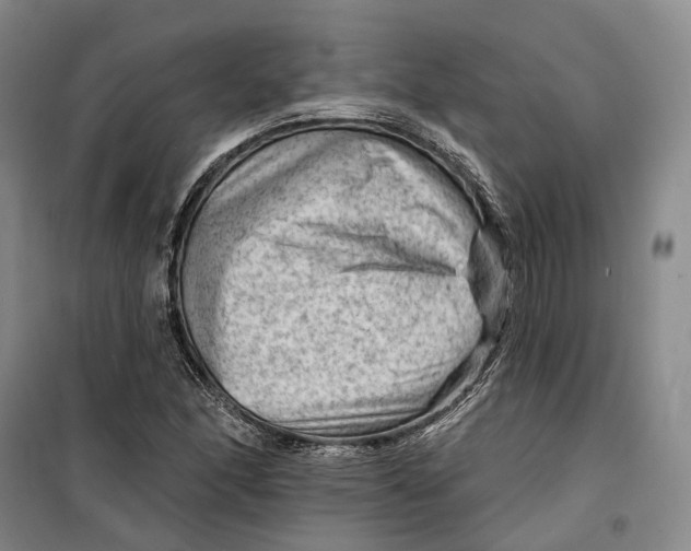 X0000099451166200805301506