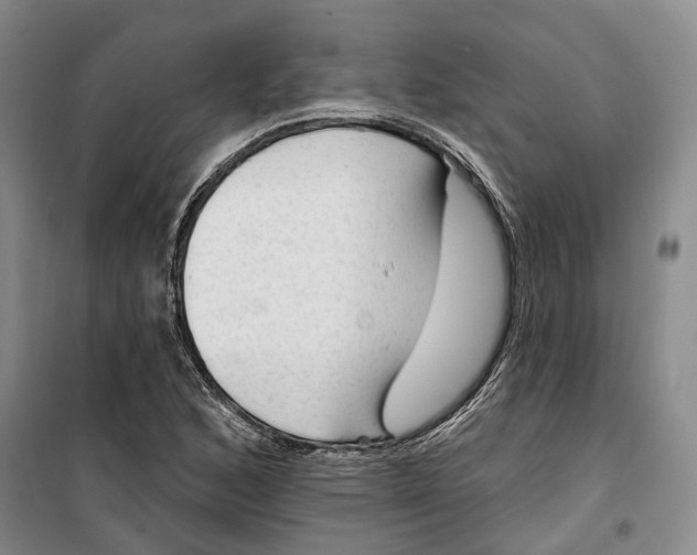 X0000099451168200805301506