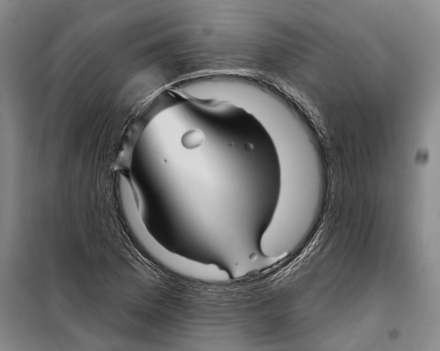 X0000099451169200805301506