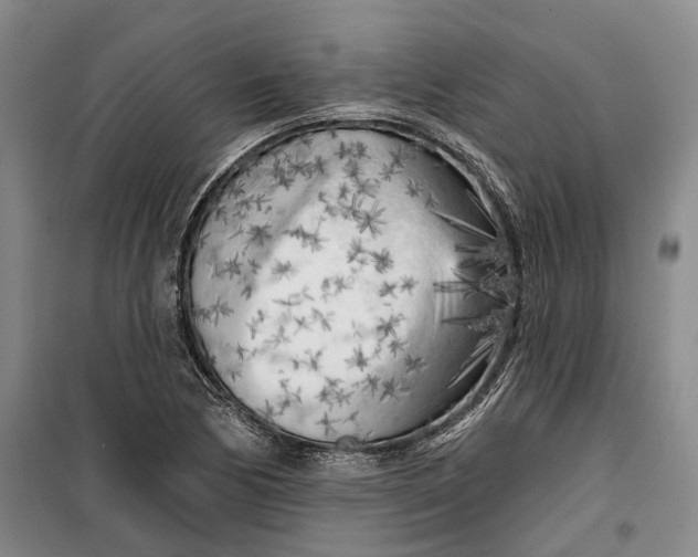 X0000099451170200805301506