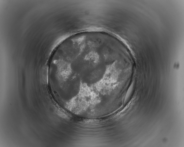 X0000099451171200805301506