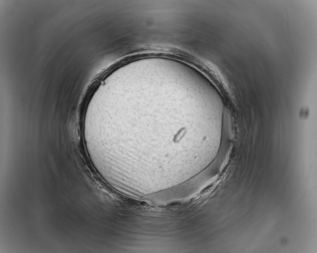 X0000099451172200805301506