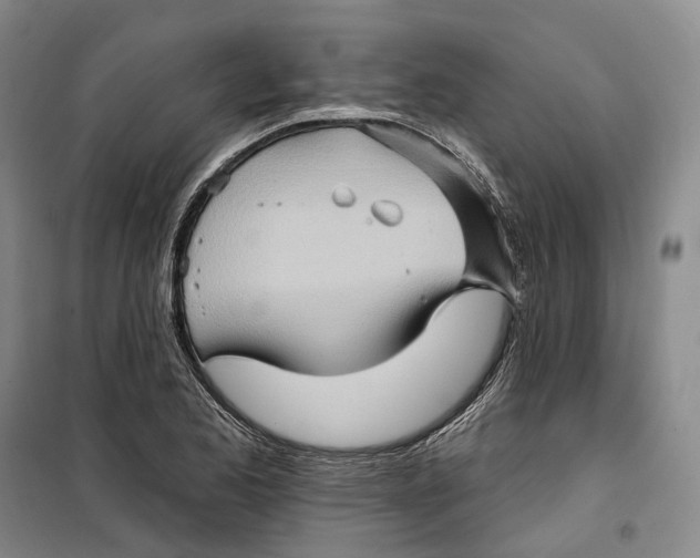 X0000099451173200805301506