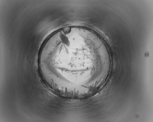 X0000099451174200805301506