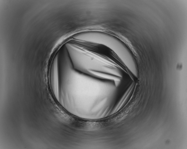 X0000099451176200805301506