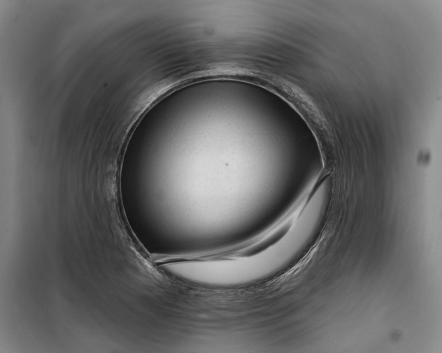 X0000099451177200805301506