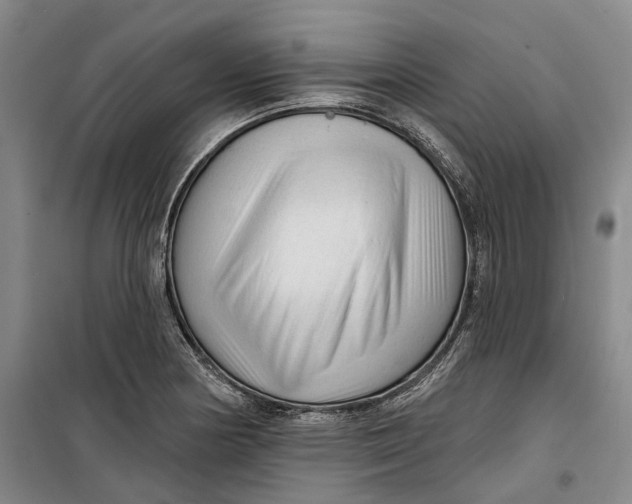 X0000099451178200805301506