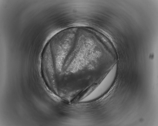 X0000099451179200805301506