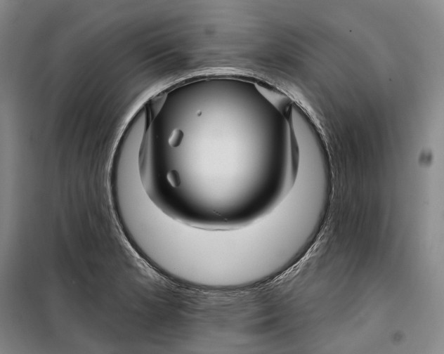 X0000099451181200805301506