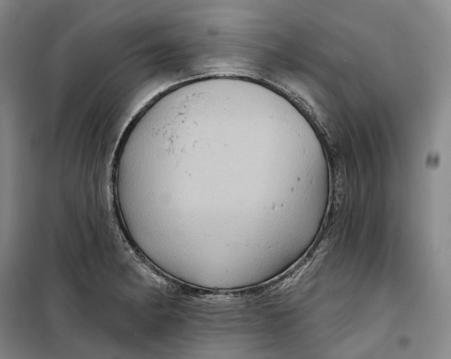 X0000099451182200805301506