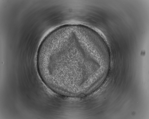 X0000099451183200805301505