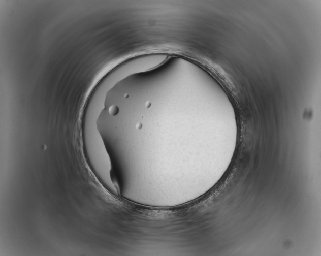 X0000099451184200805301505