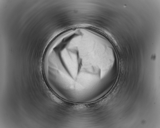 X0000099451186200805301505